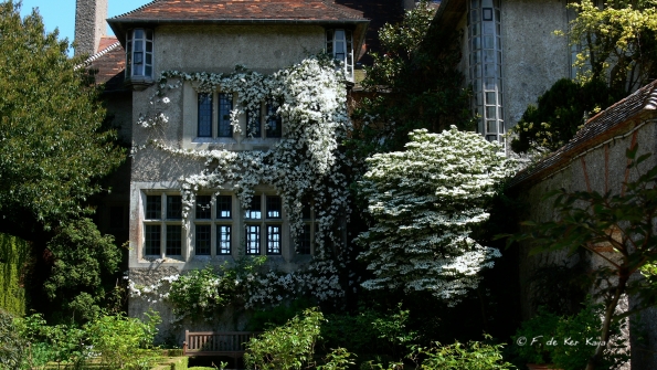 Bois des Moutiers (291) Mai 2012